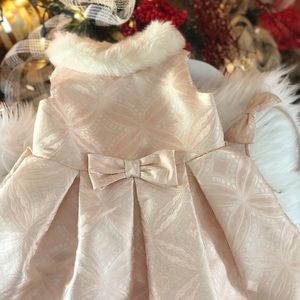 Janie and Jack dress w/matching headband